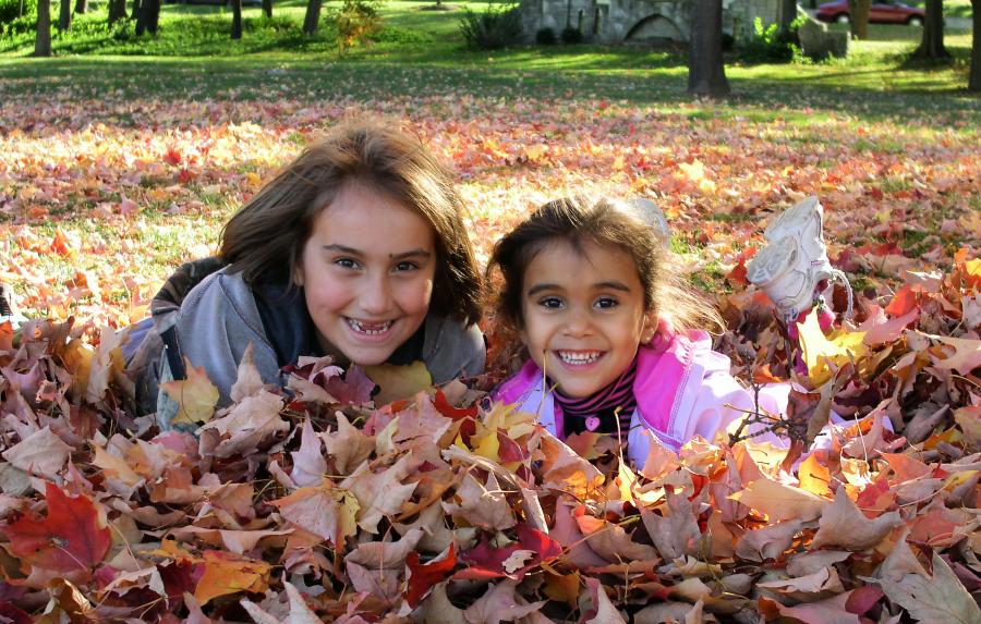 Enjoying the autumn leaves