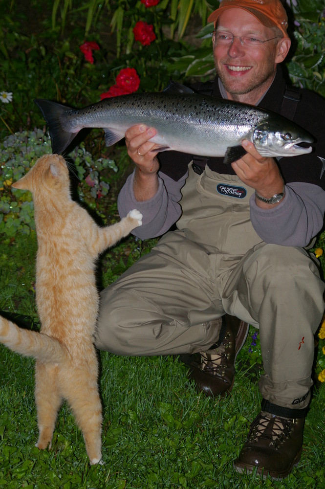 Enjoying The Salmon