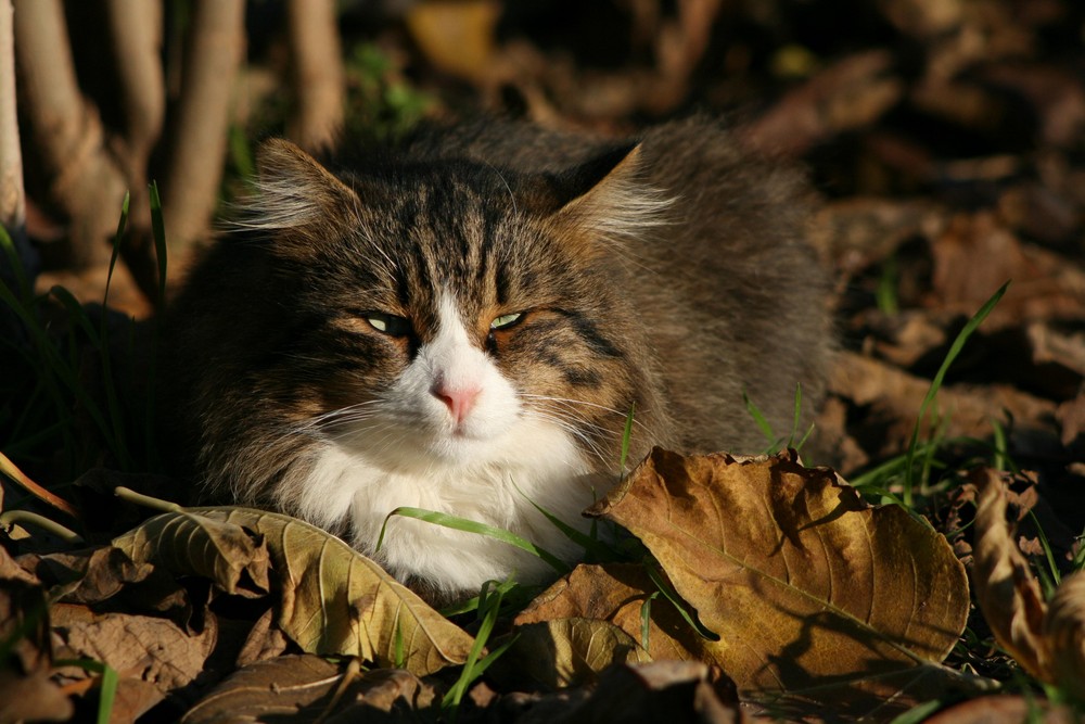 Enjoying the Sun