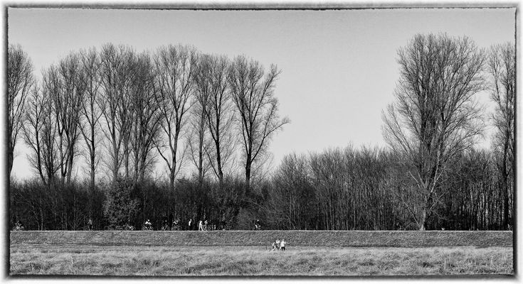 Enjoying The Sunny Sunday