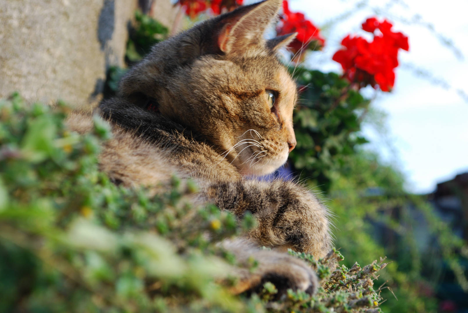 Enjoying the sunset