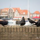 Enkhuizen