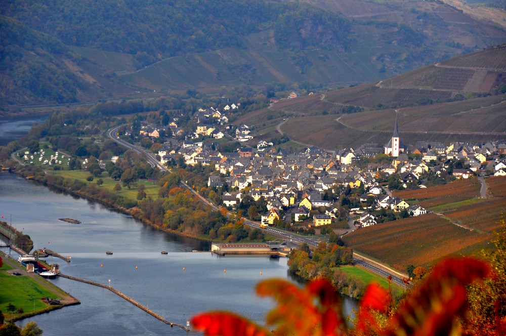 Enkirch Mosel im Herbst