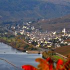 Enkirch Mosel im Herbst