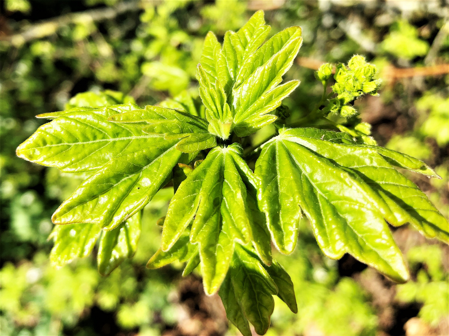 Enlich Sonne und Wärme