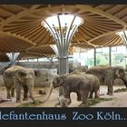 ......."Enne Besuch im Zoo........"!