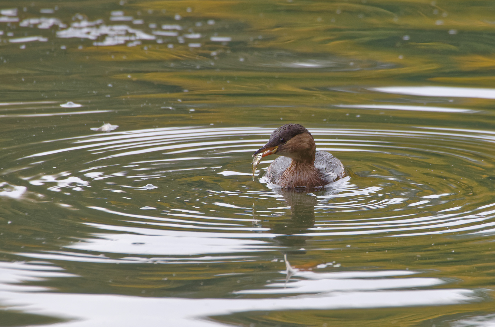 Enne Besuch im Zoo