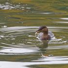 Enne Besuch im Zoo