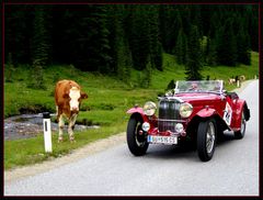 Ennstal-Classic 2005: MG TC