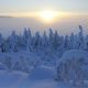 Lapland Jan 2024