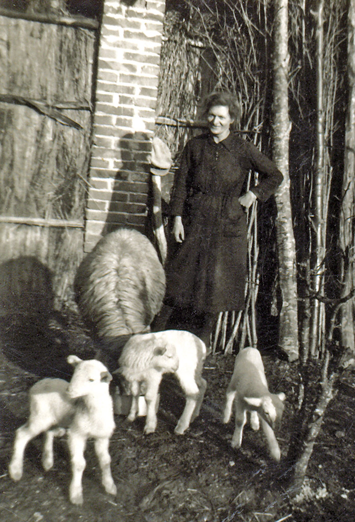 Enrica con tre agnelli e una pecora