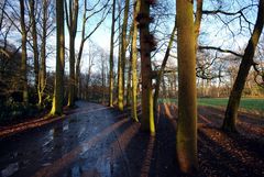 Enschede - Abraham Ledeboerpark 2