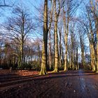 Enschede - Abraham Ledeboerpark 3