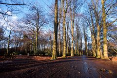 Enschede - Abraham Ledeboerpark 3