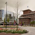 Enschede - Boulevard 1945 - Hospital "Medisch Spectrum Twente" - 01