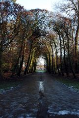 Enschede - van Heekpark-