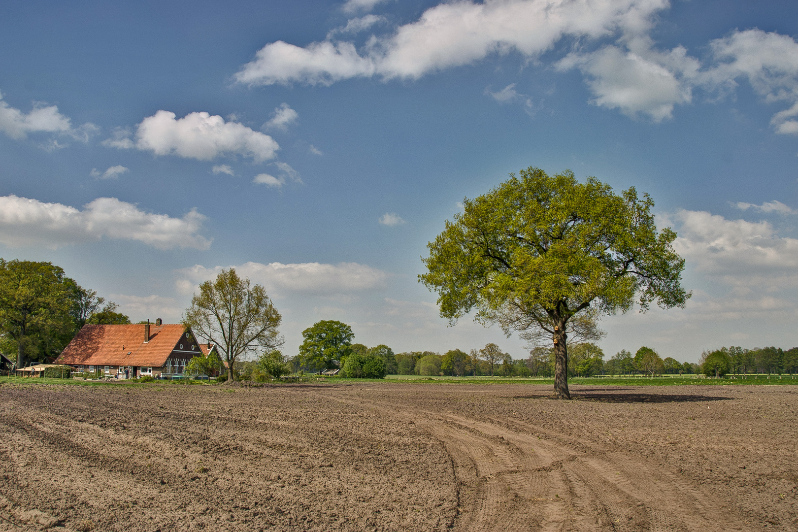 Enschede/Twekkelo - Twekkelerweg - 04