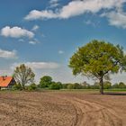 Enschede/Twekkelo - Twekkelerweg - 04