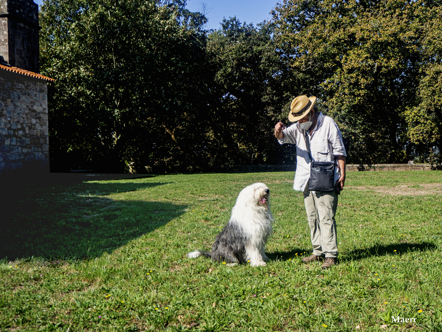 Enseñando a su perro.