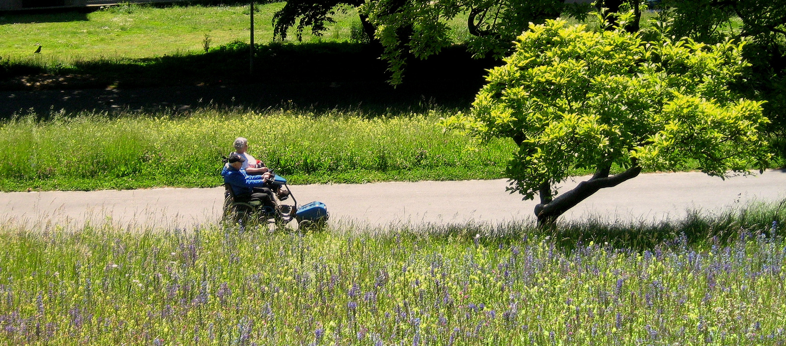 ENSEMBLE SUR LE CHEMIN