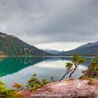 Ensenada Zaratiegui Bay in Tierra del Fuego National Park