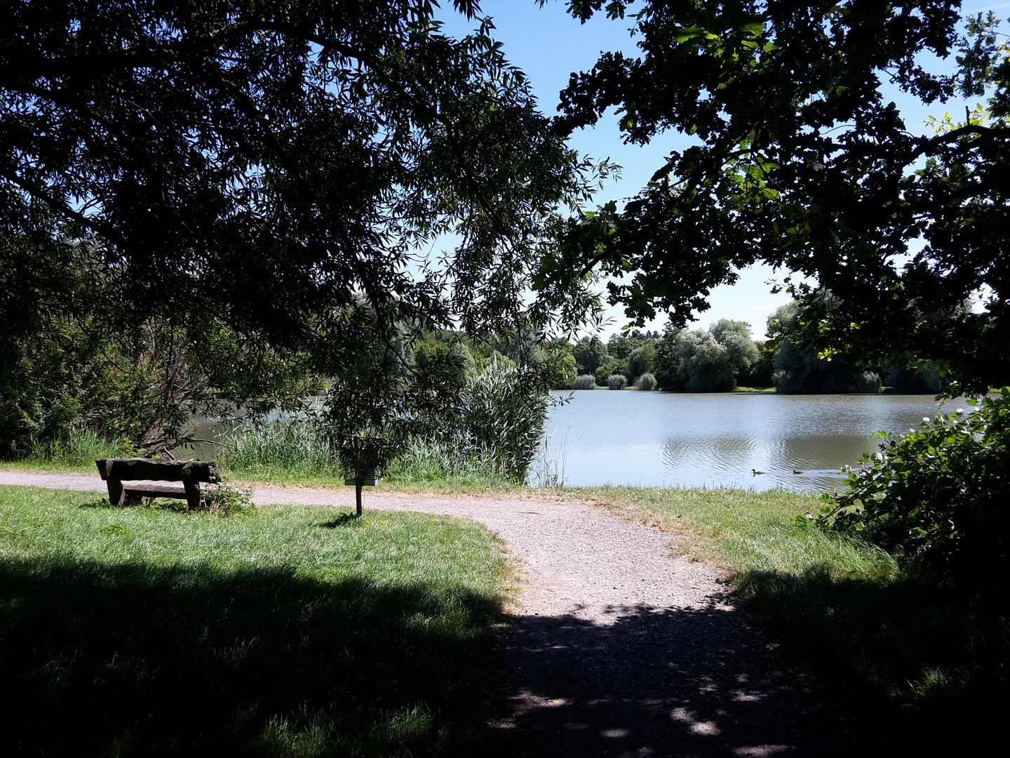 Ensinger See im Sommer