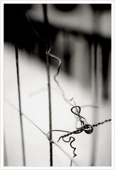 [ entanglement ]