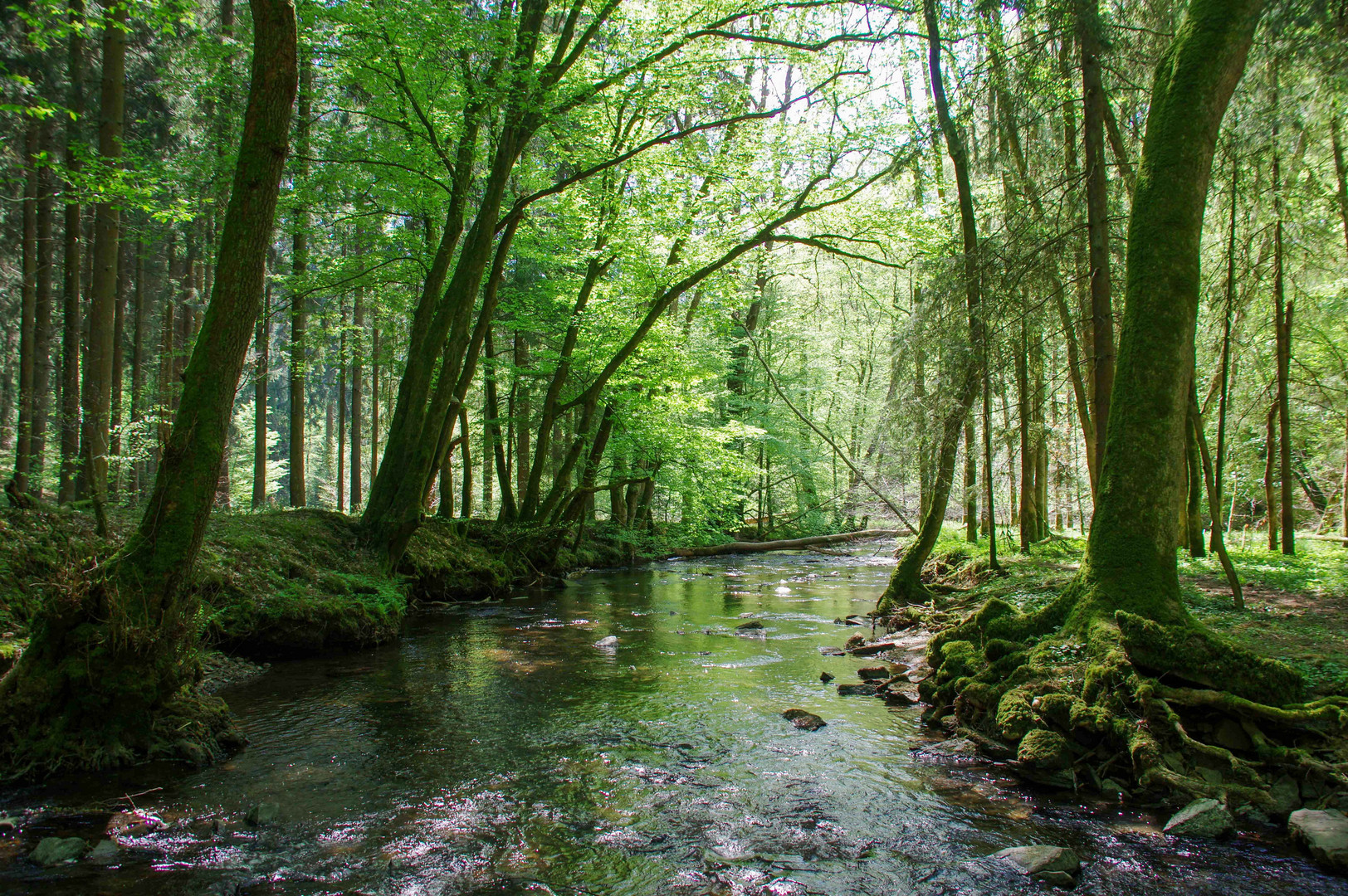 Entdecken die Vielfalt der Natur. 