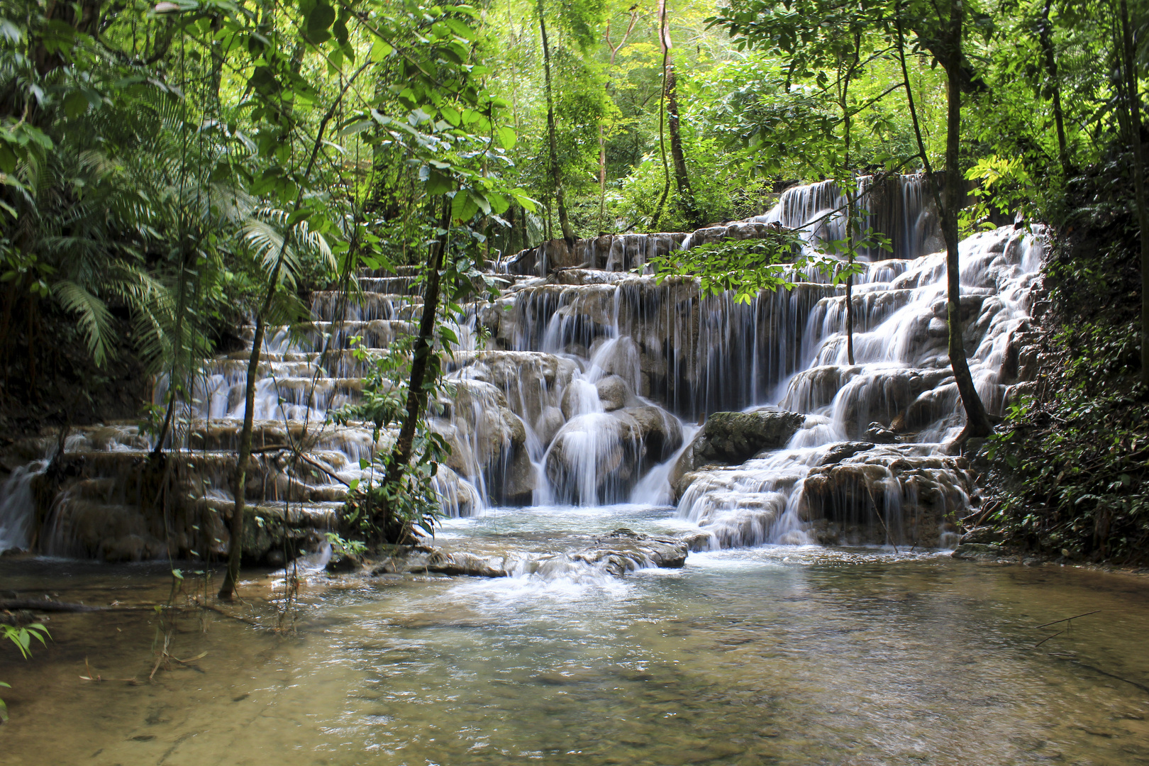 Entdeckt im Regenwald von Guatemala