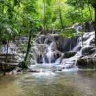 Entdeckt im Regenwald von Guatemala