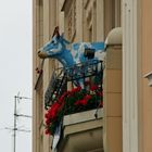 Entdeckt in Görlitz: Milchlieferantin auf dem Balkon