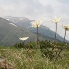 Entdeckung am Wegesrand