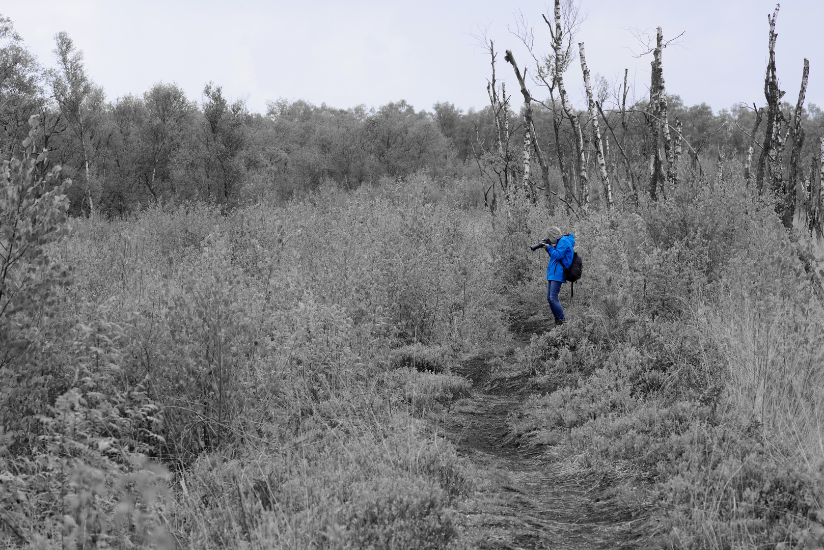 Entdeckung im Moor