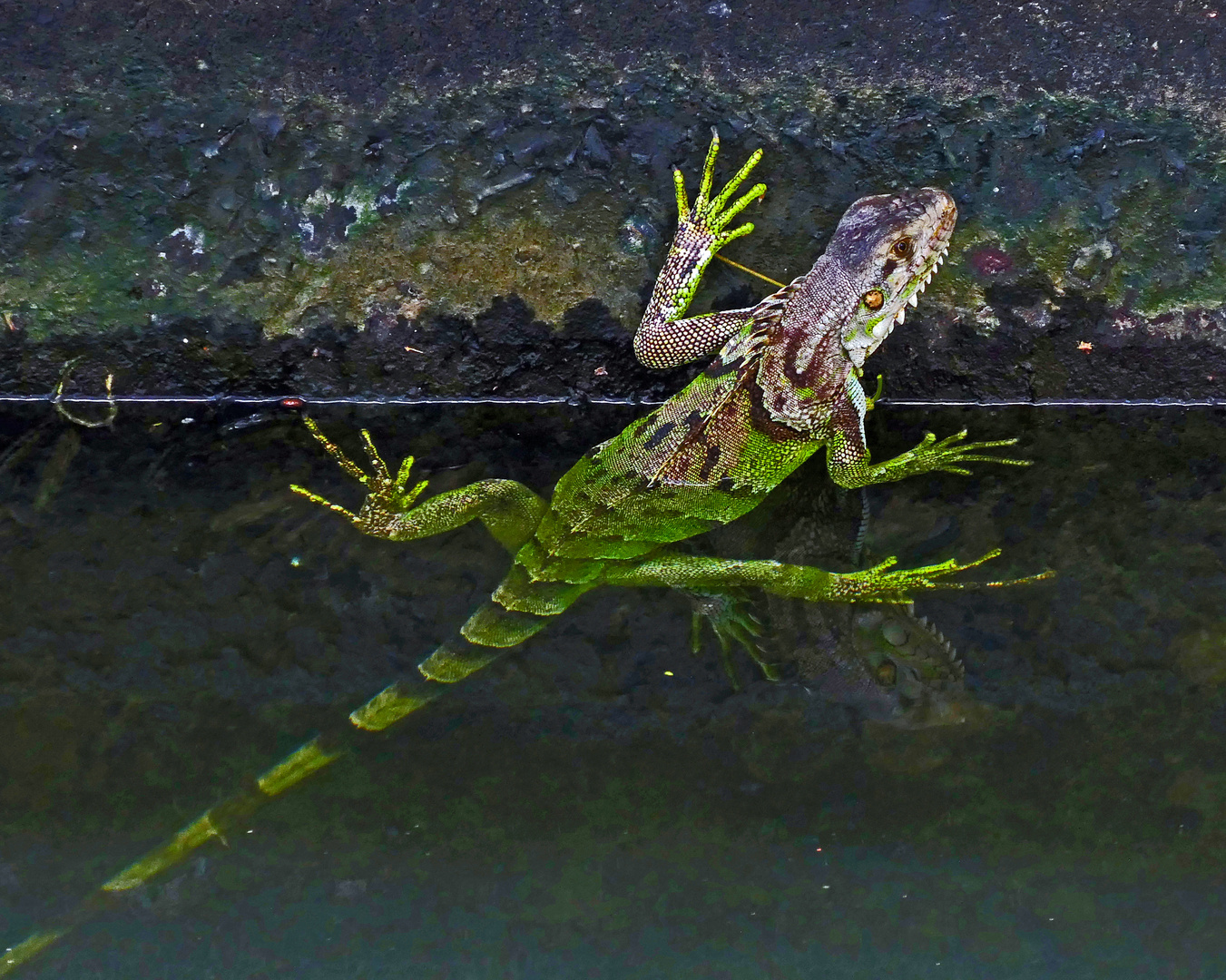 ENTDECKUNG IM WASSERGRABEN....