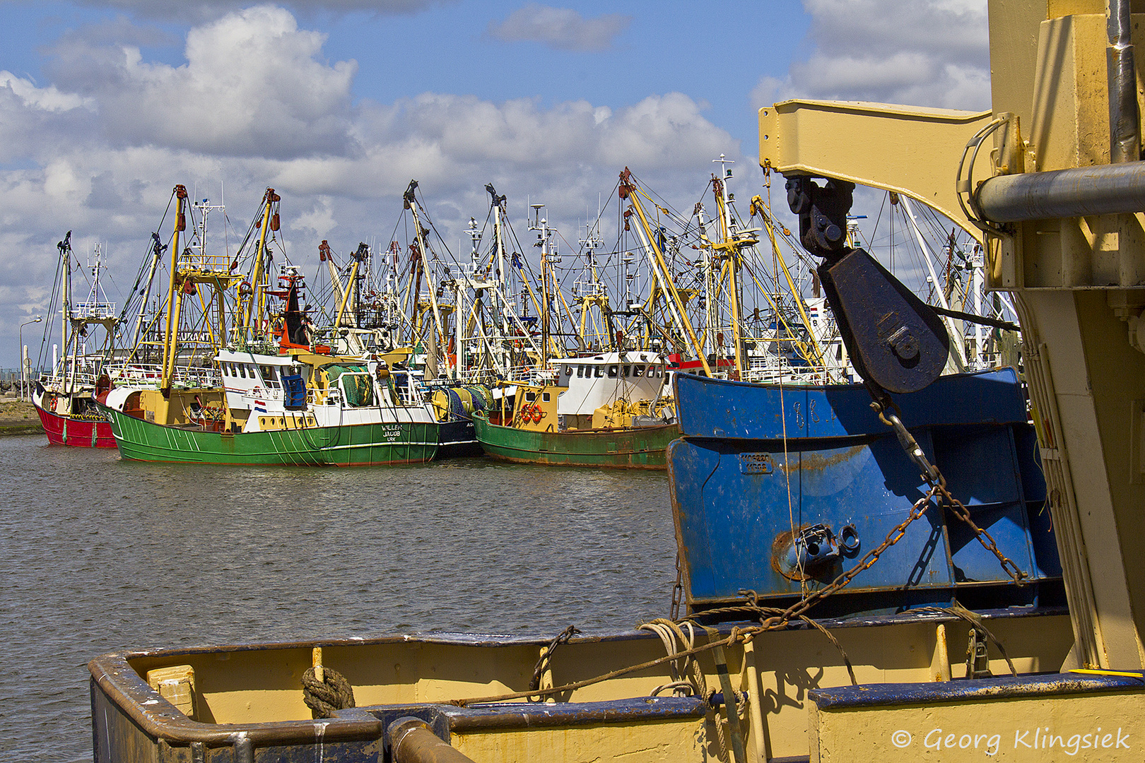 Entdeckungen im Hafen von Lauwersoog (NL) 