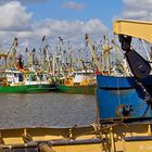 Entdeckungen im Hafen von Lauwersoog (NL) 