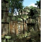 Entdeckungen im Ta Prohm - Siem Reap, Kambodscha