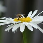 Entdeckungsreise in der Natur