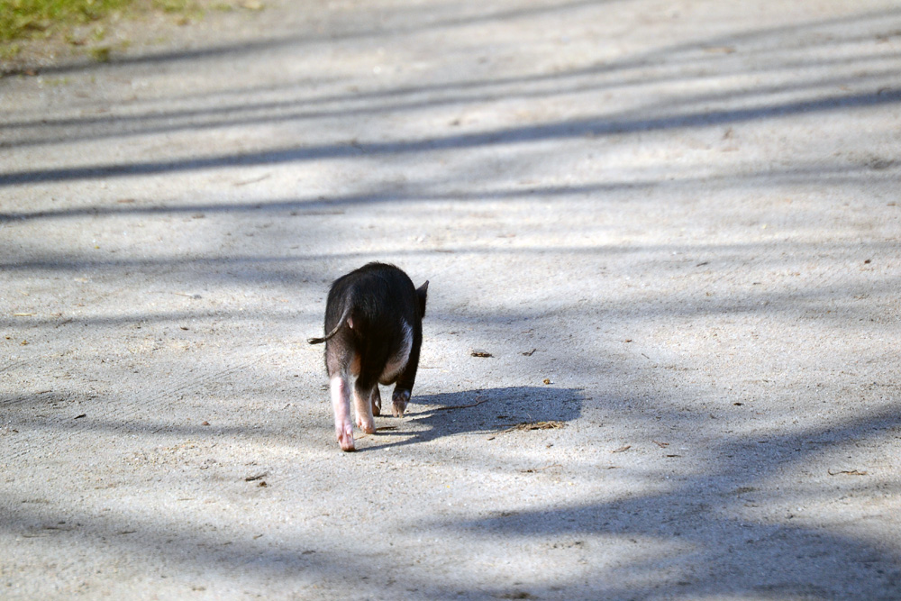 Entdeckungstour