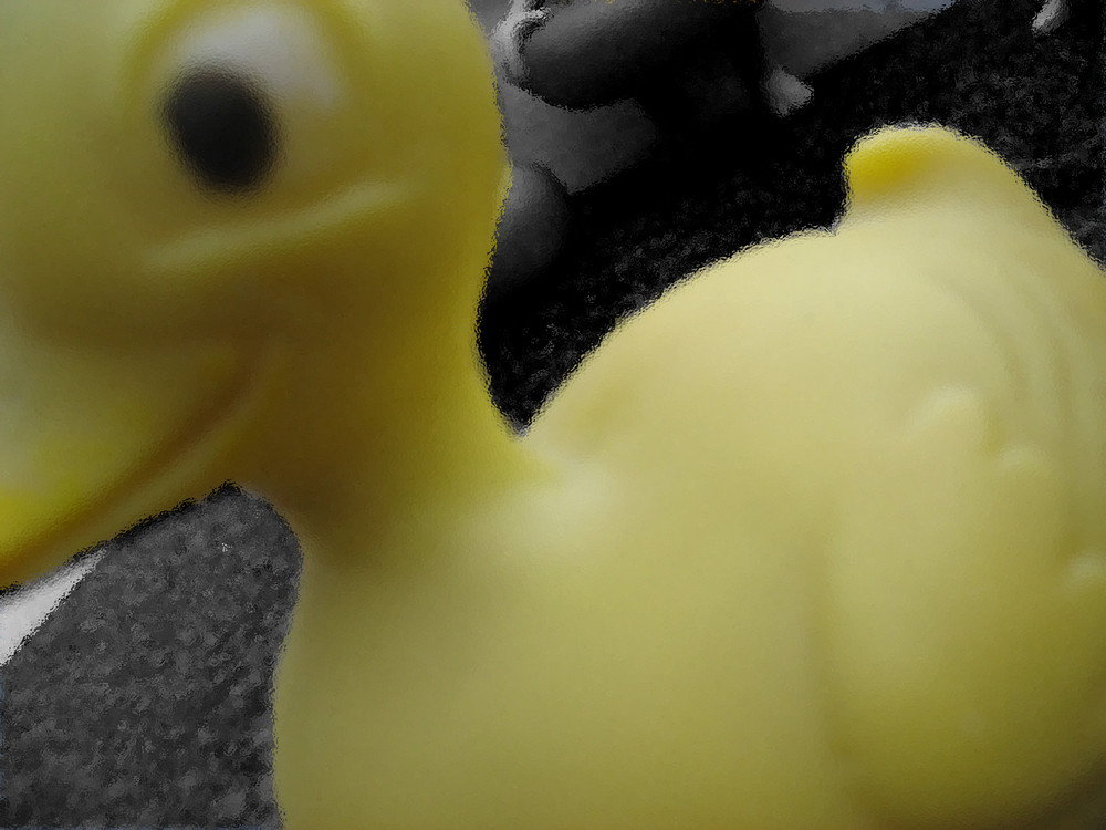 ente=)