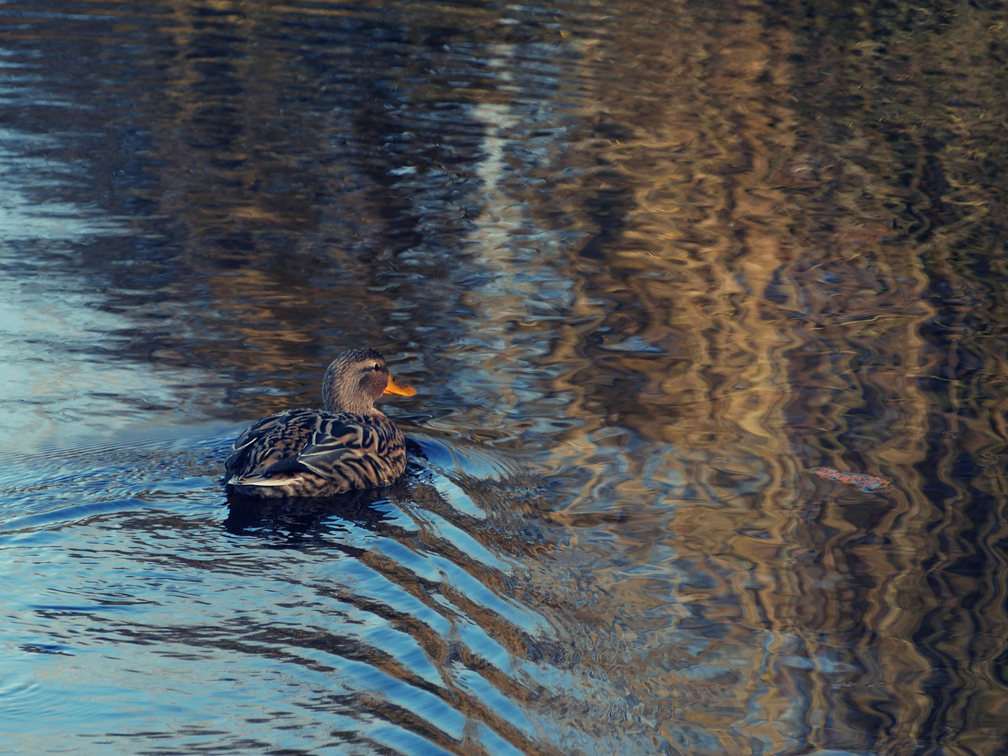 Ente abstrakt