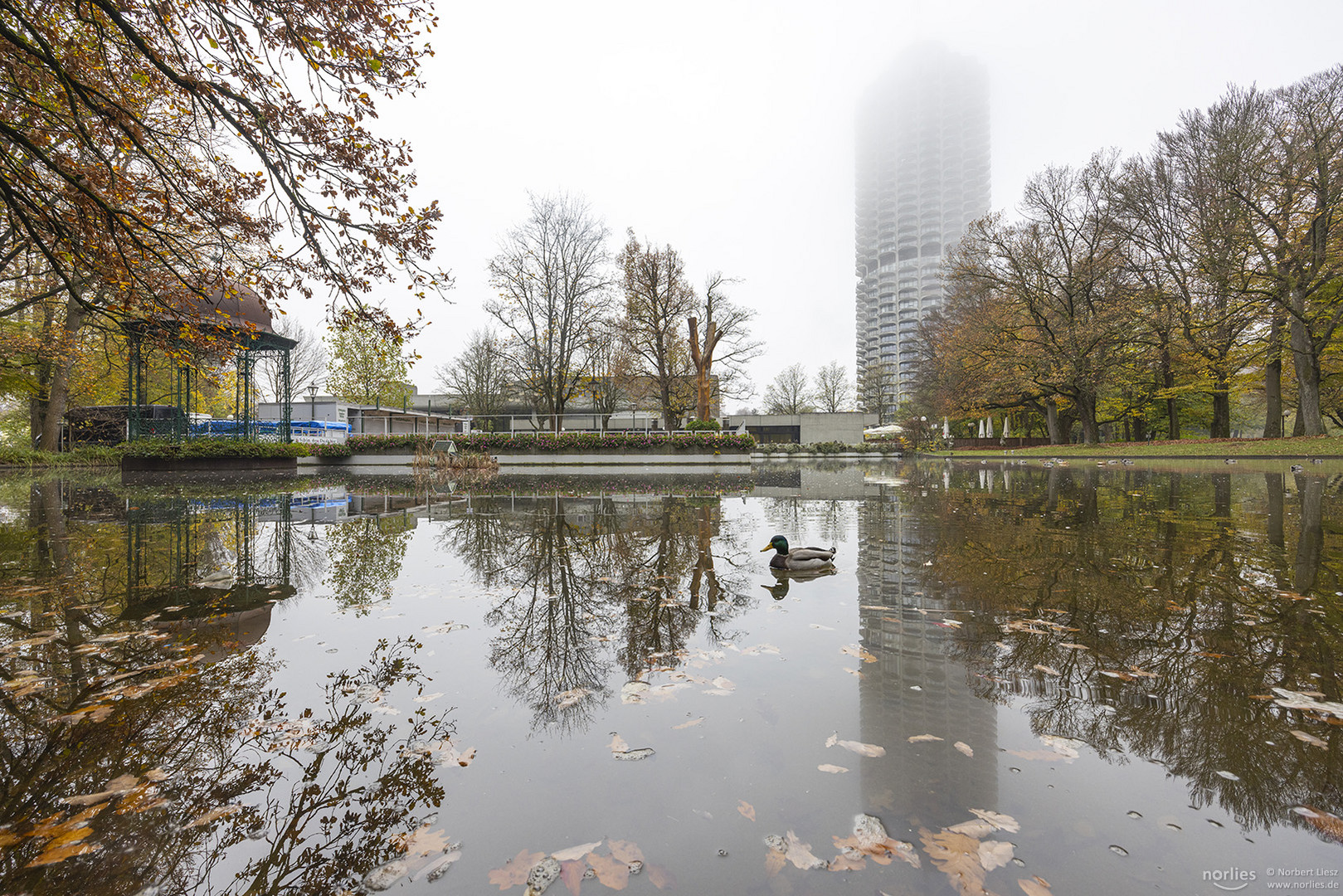 Ente am Hotelturm