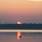 Ente beim Sonnenaufgang