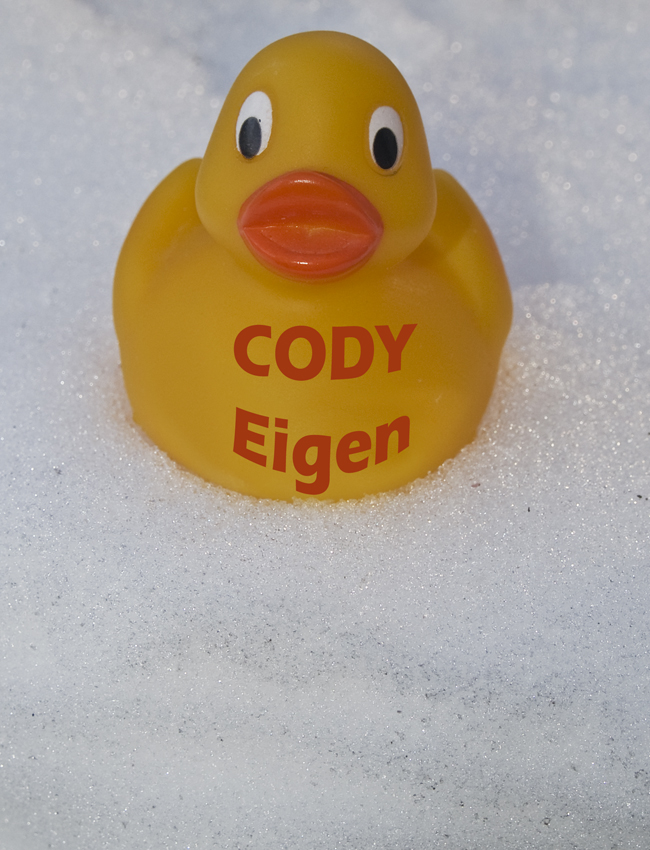 Ente Cody