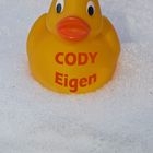 Ente Cody