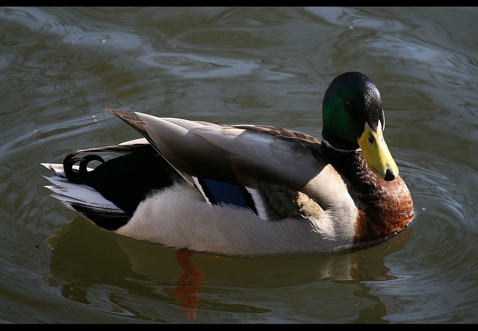 Ente gut....