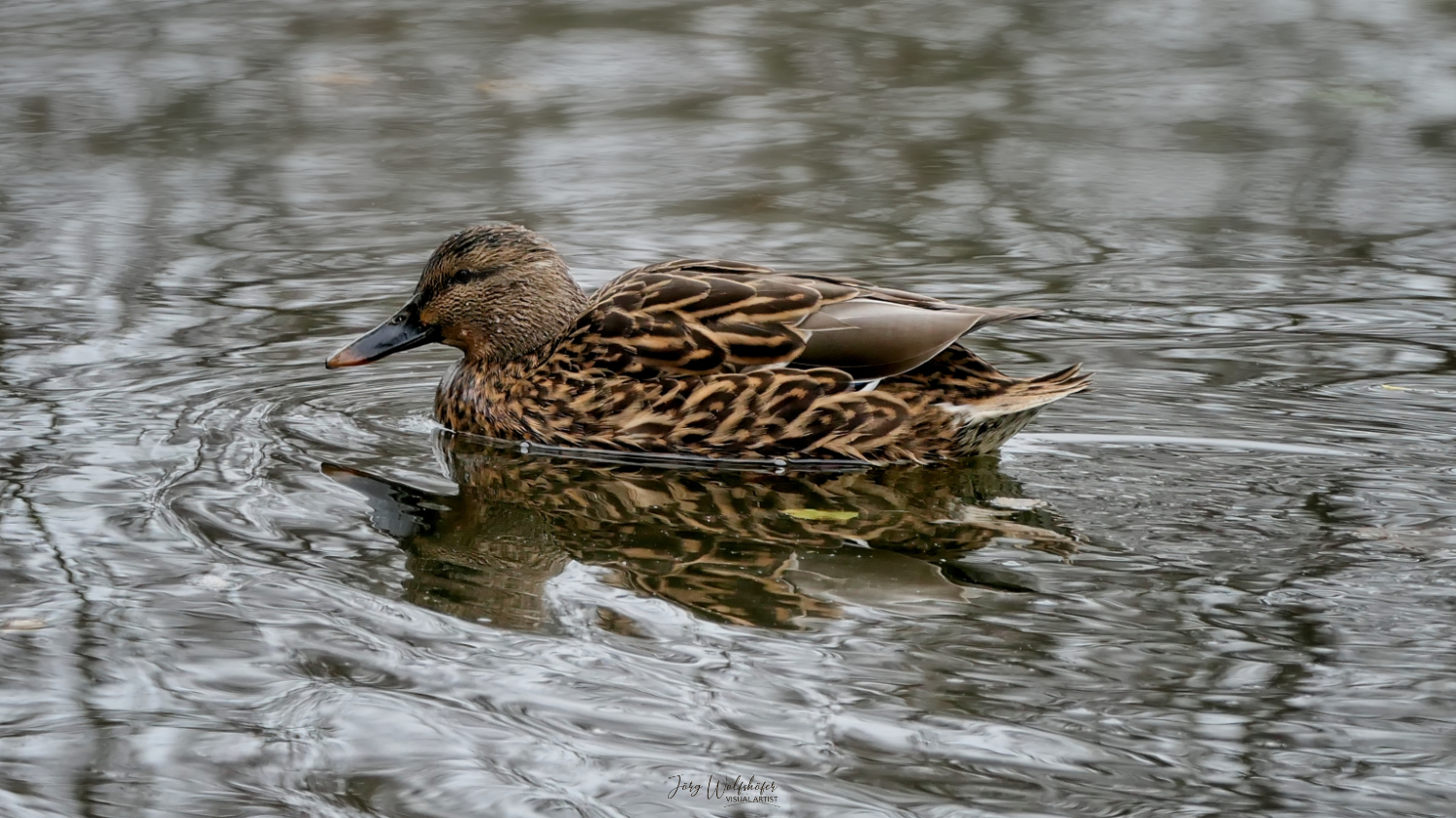 Ente gut, alles gut!