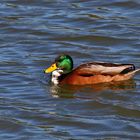 Ente gut, alles gut! - 2