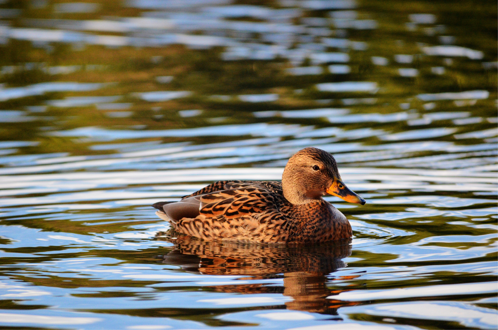 Ente gut alles gut