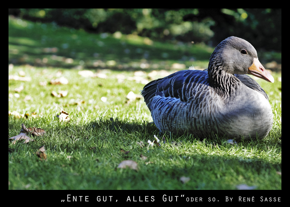 "Ente gut, alles gut" oder so...